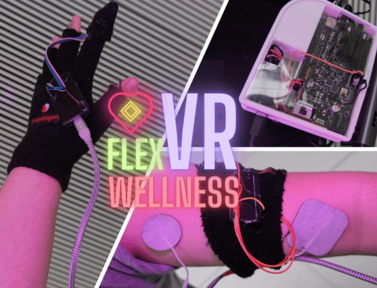 FlexVR Icon